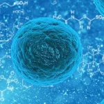 Kanser Riskini Azaltan 4 Etkili Kural!