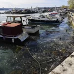 Marmara’da Müsilaj Geri Döndü: İstanbul Boğazı’nda Çevre Felaketi Kapıda
