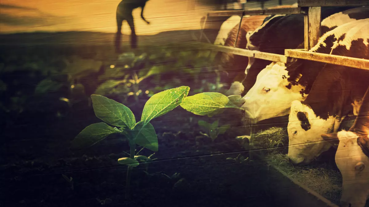 Tarım Sektöründe Sarsıcı Gelişme: Ereğli Bereket Tarım Hayvancılık İflas Etti