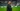 Amedspor'da Yeni Dönem: Servet Çetin İle Yollar Ayrıldı