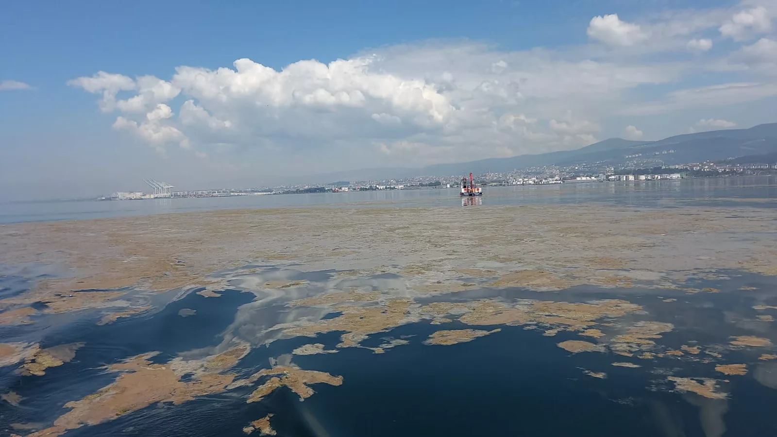 Müsilaj Marmara’dan Saros Körfezi’ne Ulaştı: Deniz Çayırları Alarm Veriyor