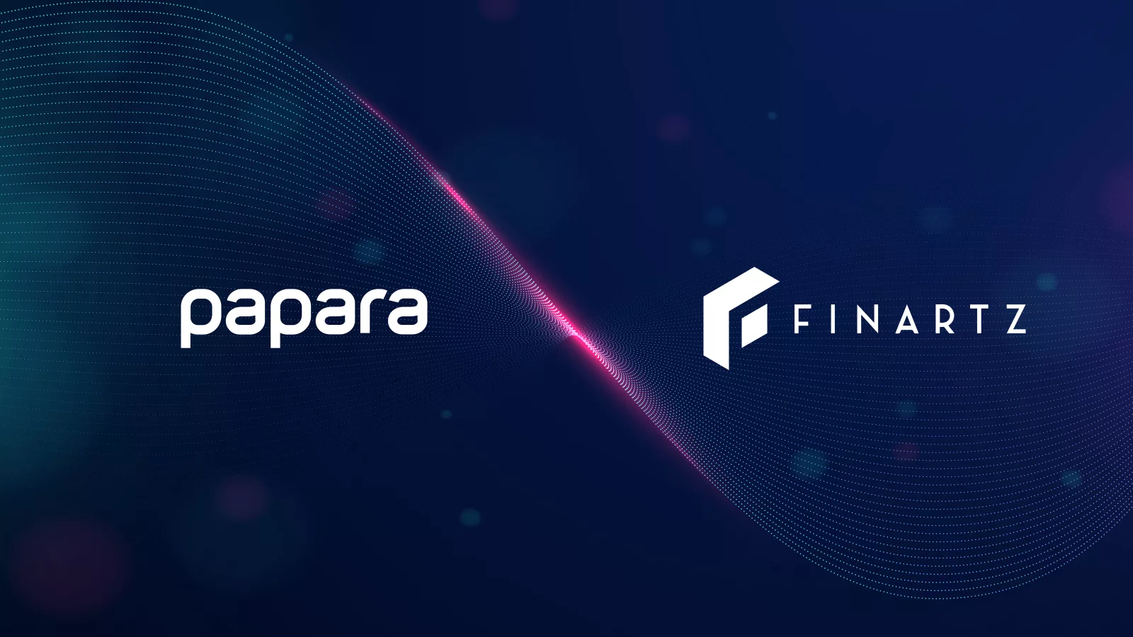 Papara’ya Dev Yasa Dışı Bahis Operasyonu: 8 Şirkete El Konuldu, TMSF Kayyum Atadı