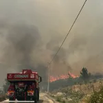 İzmir'de Orman Yangını Panik Yarattı: 150 Ev ve İş Yeri Boşaltıldı
