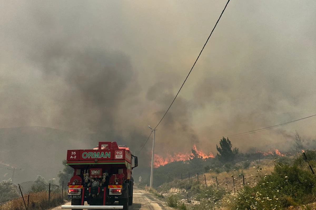 İzmir'de Orman Yangını Panik Yarattı: 150 Ev ve İş Yeri Boşaltıldı