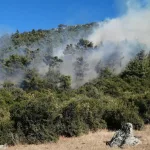 Soma’da Orman Yangınına Havadan ve Karadan Müdahale Sürüyor